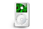 iPod de Software van de Terugwinning van gegevens