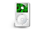 средство программирования спасения данным по iPod
