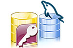 MS Access to MySQL Database Converter